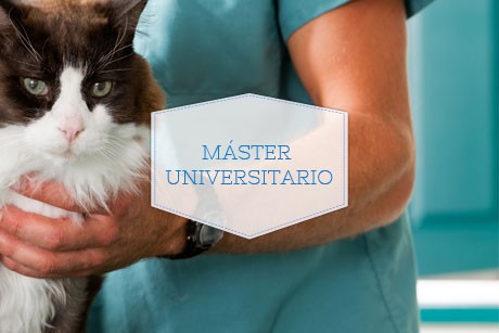 Master Universitario